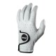 Ping tour Golf Glove